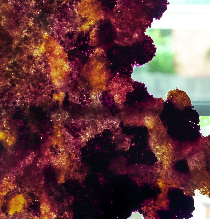 dans les paumes ou de bouche à bouche