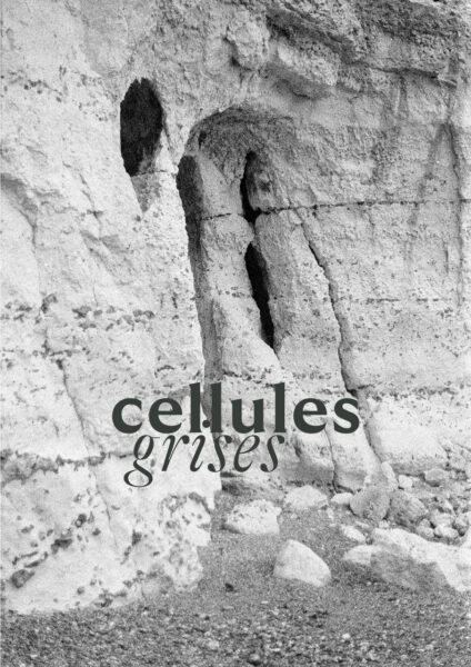 Cellules grises