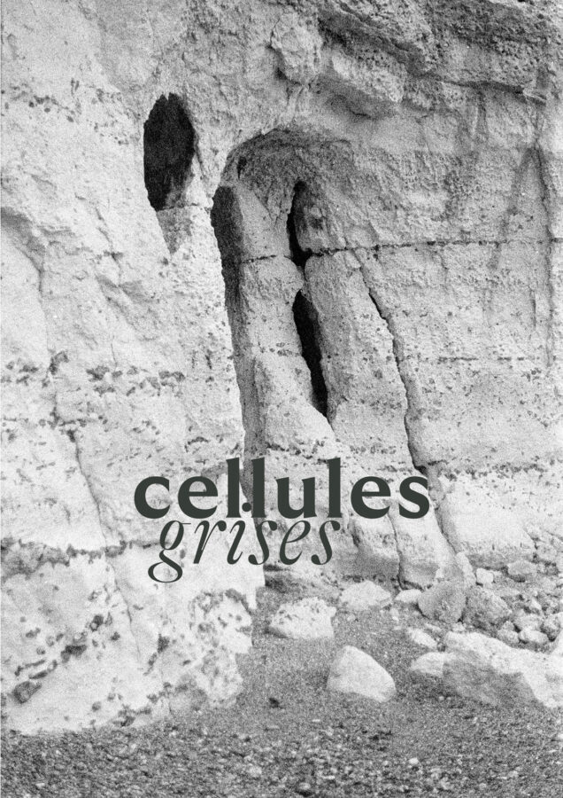 Cellules grises