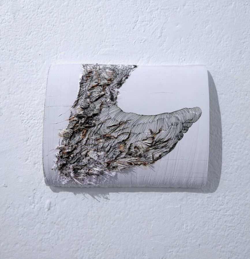 CHIPPING DRAWING, FOOT / ÉBRÈCHEMENT DESSIN, PIED