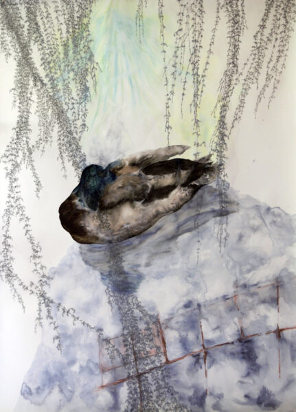 Traverser des paysages