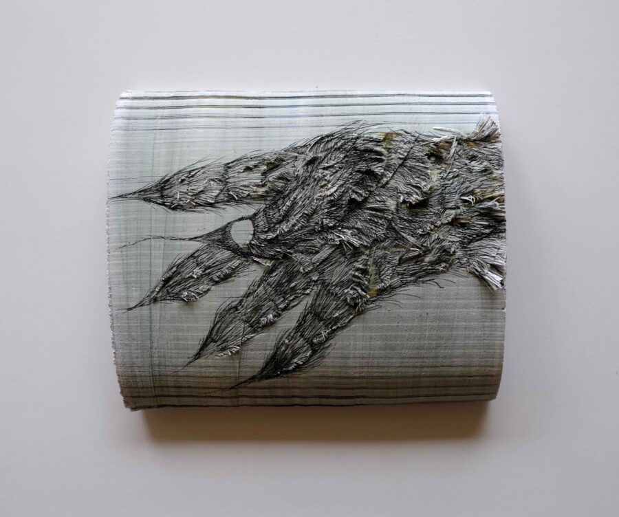 CHIPPING DRAWING, MON AMINAL, 2025