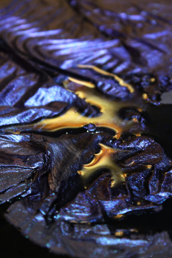 Exposition Chini ya Ardhi