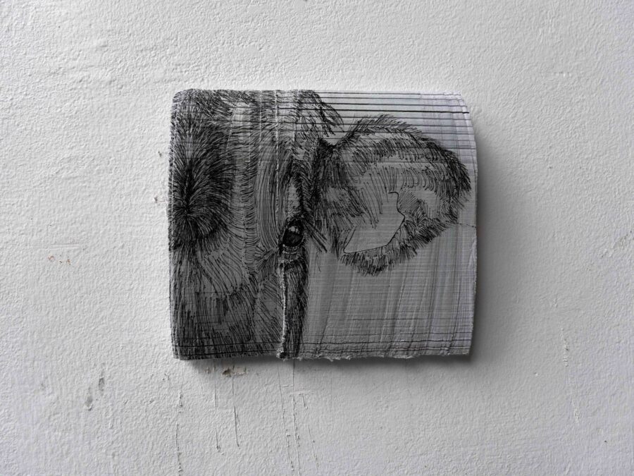 ÉBRÈCHEMENTS DESSINS Pam, 2026