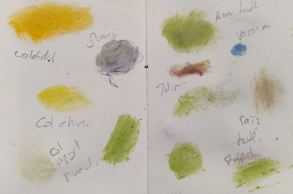 Un livre, nos couleurs