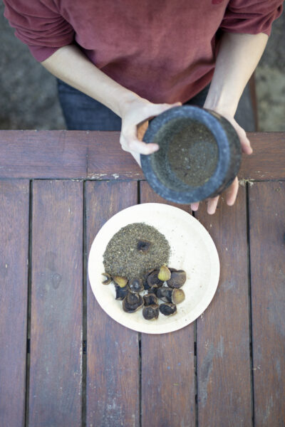 Cueillir, imprimer – la couleur vivante –