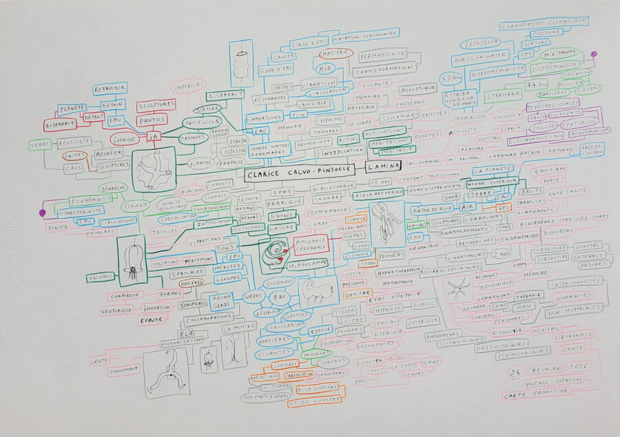 Carte cognitive Lamina