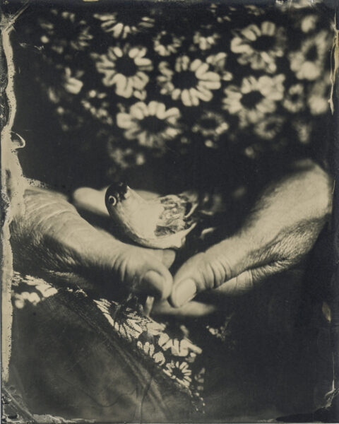 Procédés photographiques anciens et alternatifs