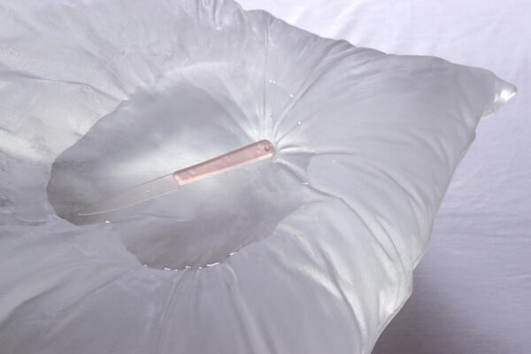 Là où les organes oragent – Prix MTE