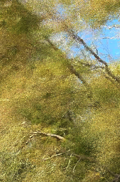 Pixels Paintings, paysages de Drôme, 2022