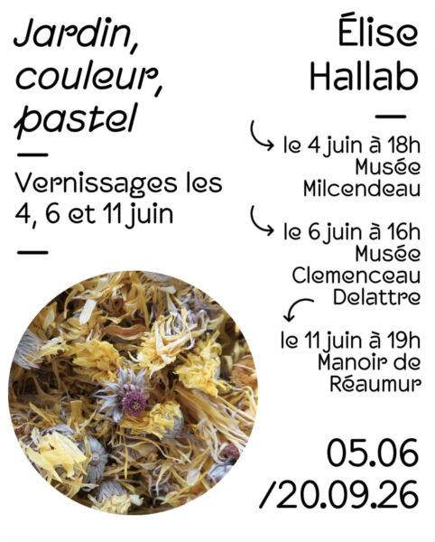 Jardin, Couleur, Pastel