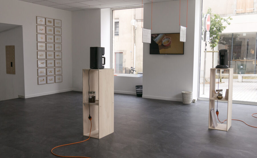 Exposition “Coffeeland”