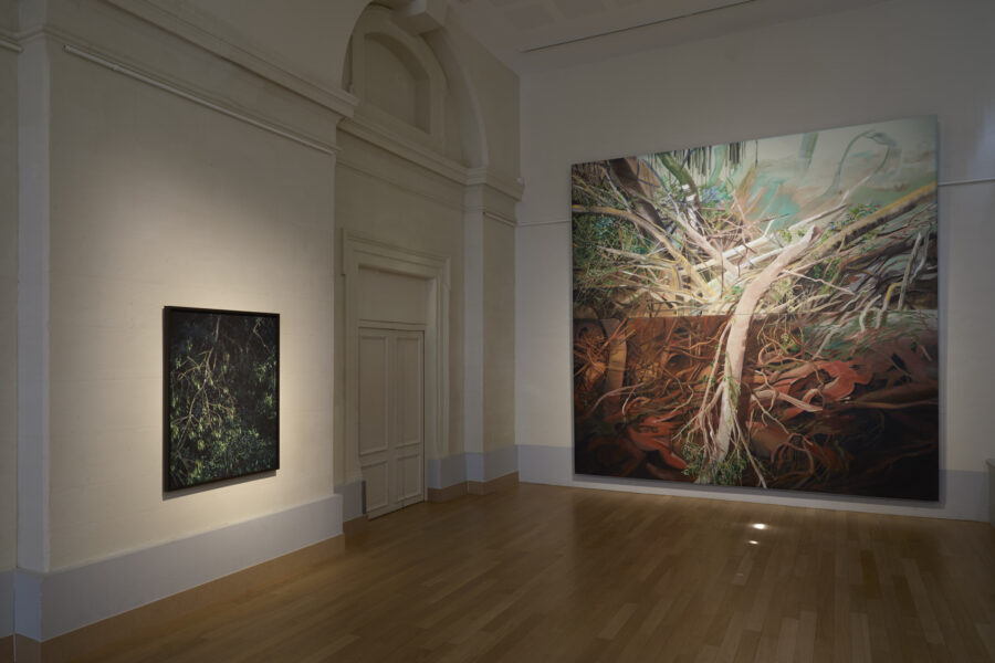 Exposition Milieux mondes, Alice Suret-Canale et Cécile Genest, Dôme de Saumur, juillet 2026.