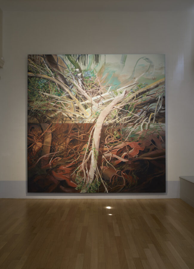 Exposition Milieux mondes, Alice Suret-Canale et Cécile Genest, Dôme de Saumur, juillet 2026.