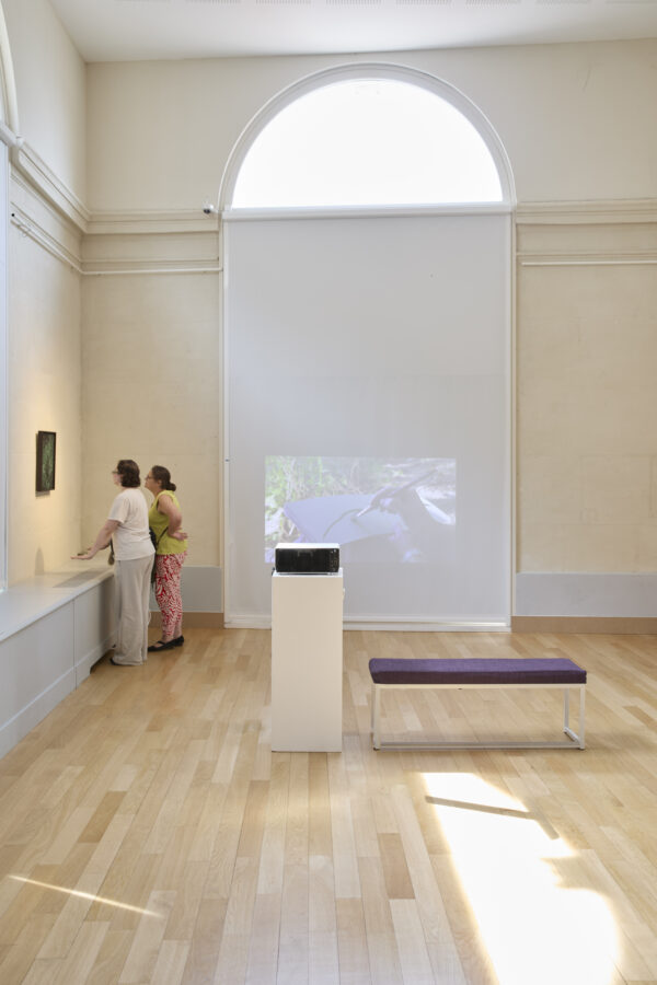 Exposition Milieux mondes, Alice Suret-Canale et Cécile Genest, Dôme de Saumur, juillet 2026.