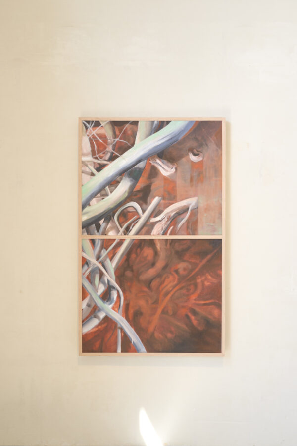 Exposition Milieux mondes, Alice Suret-Canale et Cécile Genest, Dôme de Saumur, juillet 2026.