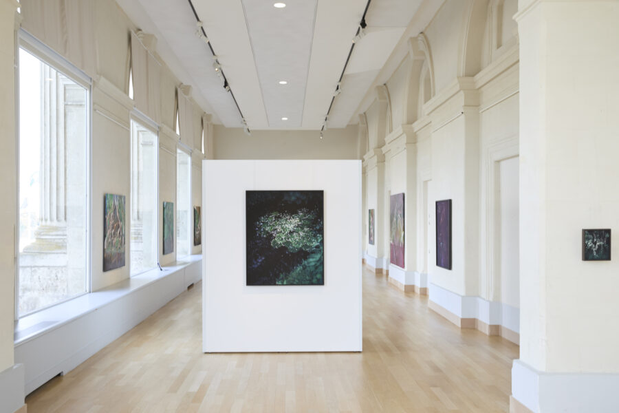 Exposition Milieux mondes, Alice Suret-Canale et Cécile Genest, Dôme de Saumur, juillet 2026.