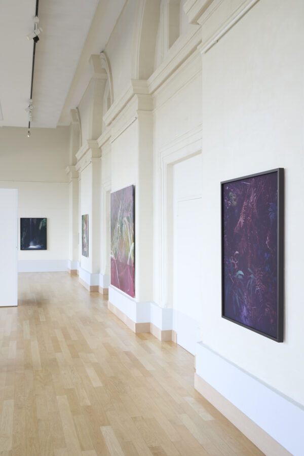 Exposition Milieux mondes, Alice Suret-Canale et Cécile Genest, Dôme de Saumur, juillet 2026.