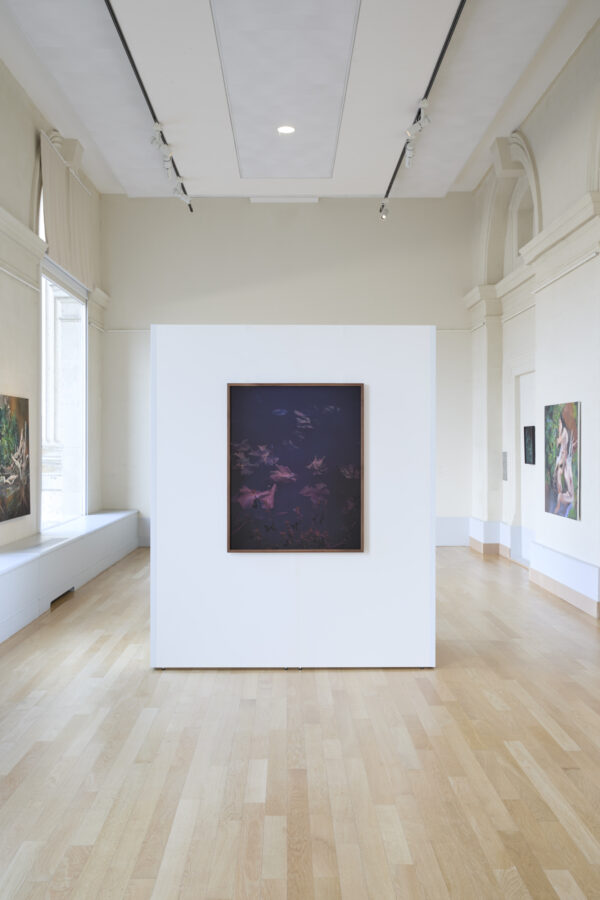 Exposition Milieux mondes, Alice Suret-Canale et Cécile Genest, Dôme de Saumur, juillet 2026.