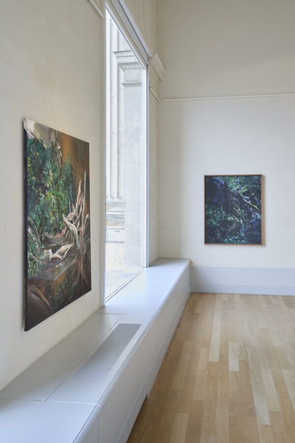 Exposition Milieux mondes, Alice Suret-Canale et Cécile Genest, Dôme de Saumur, juillet 2026.