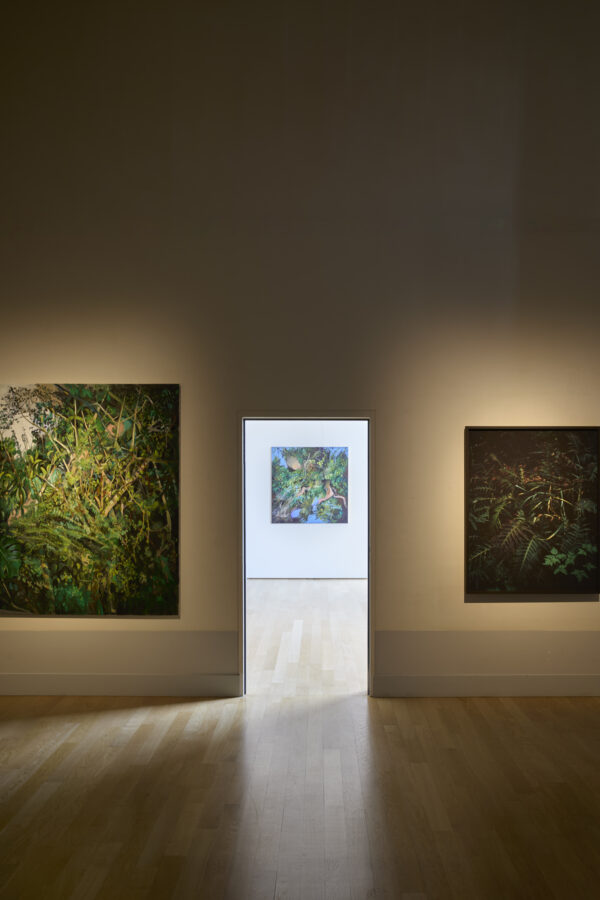 Exposition Milieux mondes, Alice Suret-Canale et Cécile Genest, Dôme de Saumur, juillet 2026.