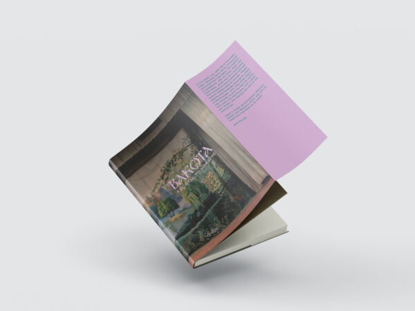 Discovery Guide, livre d’artistes consacré à Bakota (Ukraine)