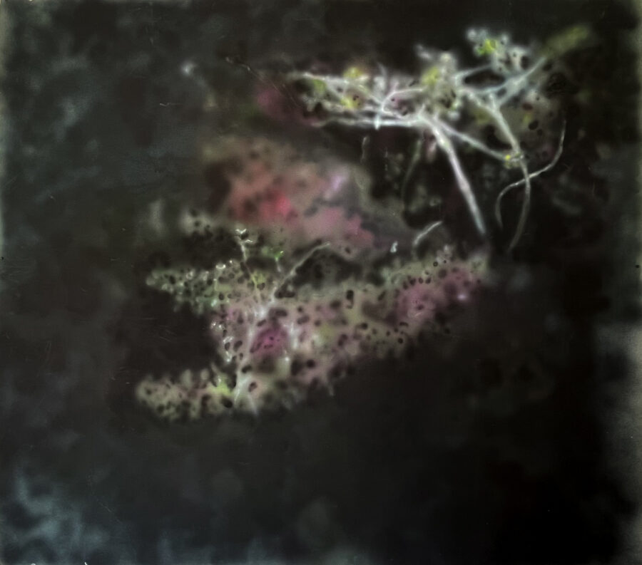 Ghosts