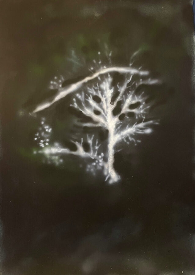 Orbe