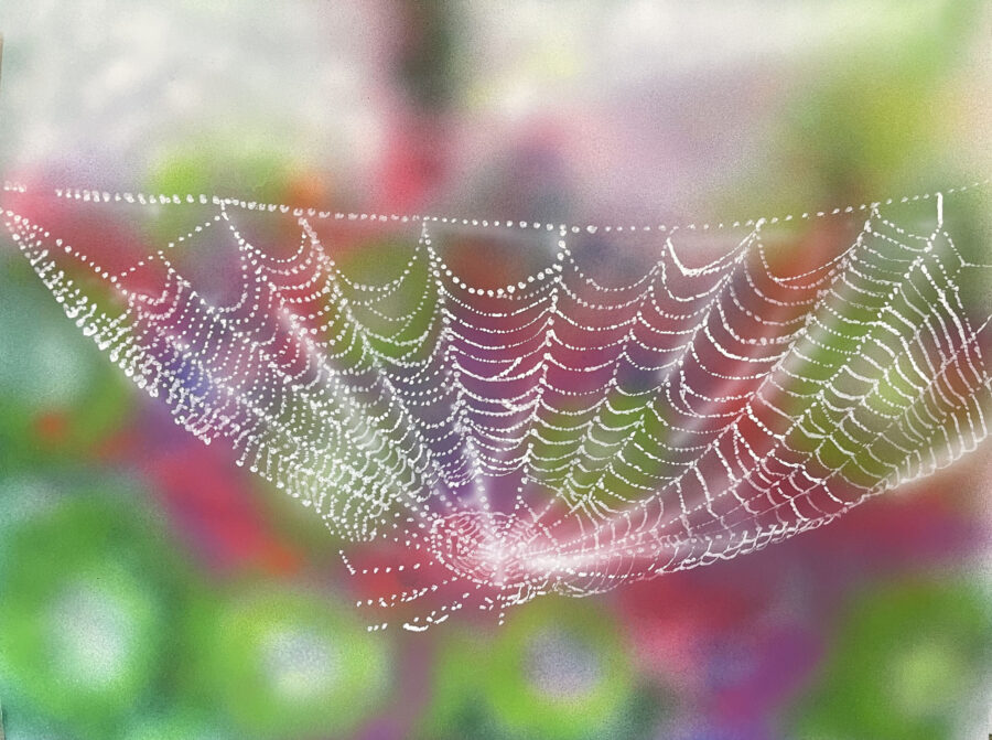 Perles