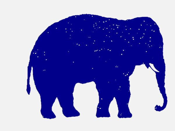 Éléphantart – Mémoires d’éléphants